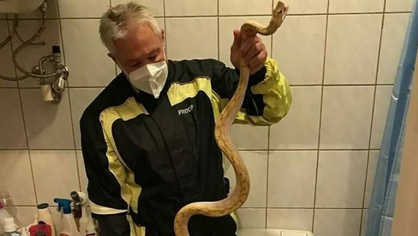 НЕ МОЖЕ ДА СЕ ОПОРАВИ ОД ШОКА! Огласио се човек којег је угризао питон НЕ МОЖЕ ДА СЕ ОПОРАВИ ОД ШОКА! Огласио се човек којег је угризао питон