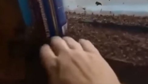 JEZIVI SNIMAK NAJEZDE KOMARACA: Čovek ih lopata rukom, oblaci napasti nakon poplava na Krimu (VIDEO) JEZIVI SNIMAK NAJEZDE KOMARACA: Čovek ih lopata rukom, oblaci napasti nakon poplava na Krimu (VIDEO)