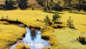 NAJVIŠE DOMAĆIH TURISTA POSETILO BANJE: Srbi rado i na planinama, Zlatibor najtraženiji