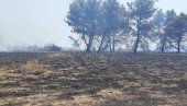 ЛОКАЛИЗОВАН ПОЖАР КОД ПОДГОРИЦЕ: Ватрогасци ставили под контролу ватрену стихију ЛОКАЛИЗОВАН ПОЖАР КОД ПОДГОРИЦЕ: Ватрогасци ставили под контролу ватрену стихију