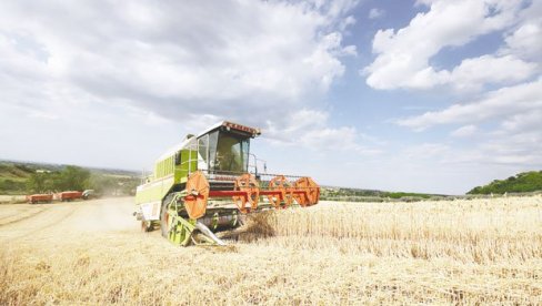 OTVORENI ZA NAŠE ŽITARICE: Naša zemlja i Sirija imaju želju i volju da unaprede poljoprivrednu saradnju OTVORENI ZA NAŠE ŽITARICE: Naša zemlja i Sirija imaju želju i volju da unaprede poljoprivrednu saradnju