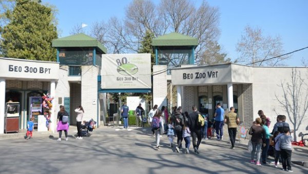 ЗОО-ВРТ СЕЛЕ НА АДУ ЦИГАНЛИЈУ: Шапић сутра о плановима за београдски Врт добре наде ЗОО-ВРТ СЕЛЕ НА АДУ ЦИГАНЛИЈУ: Шапић сутра о плановима за београдски Врт добре наде
