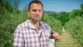 ПОКЛАЊА СМОКВЕ НАРОДУ: Великодушни гест маслинара из околине Улциња, Билала Краје ПОКЛАЊА СМОКВЕ НАРОДУ: Великодушни гест маслинара из околине Улциња, Билала Краје