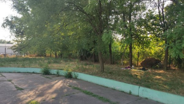 ЗРЕЊАНИН УЛАЖЕ У ОЗЕЛЕЊАВАЊЕ И ПОШУМЉАВАЊЕ: Град инвестира више од 20 милиона динара ЗРЕЊАНИН УЛАЖЕ У ОЗЕЛЕЊАВАЊЕ И ПОШУМЉАВАЊЕ: Град инвестира више од 20 милиона динара