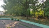 ЗРЕЊАНИН УЛАЖЕ У ОЗЕЛЕЊАВАЊЕ И ПОШУМЉАВАЊЕ: Град инвестира више од 20 милиона динара ЗРЕЊАНИН УЛАЖЕ У ОЗЕЛЕЊАВАЊЕ И ПОШУМЉАВАЊЕ: Град инвестира више од 20 милиона динара