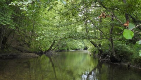 URBANIZACIJA ILI ZAŠTITA: Klisura Đetinje na meti građevinaca (FOTO)