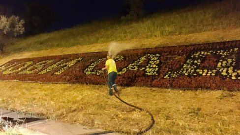 NOVOSADSKO ZELENILO SE BORI SA VISOKIM TEMPERATURAMA: Intenzivno zalivaju zelene površine i noću (FOTO) NOVOSADSKO ZELENILO SE BORI SA VISOKIM TEMPERATURAMA: Intenzivno zalivaju zelene površine i noću (FOTO)