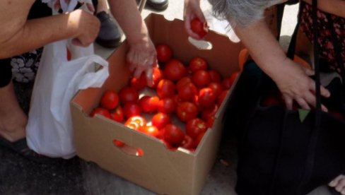 НЕДИМОВИЋ ОБЕЋАО: Проблем са парадајзом биће решен за пар дана! НЕДИМОВИЋ ОБЕЋАО: Проблем са парадајзом биће решен за пар дана!