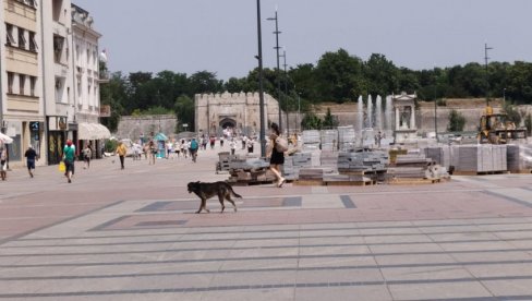 НА УЛИЦИ САМО КО МОРА: Врело и у Нишу - Само радници на Tврђавском мосту вредно раде на плус 40 (ФОТО) НА УЛИЦИ САМО КО МОРА: Врело и у Нишу - Само радници на Tврђавском мосту вредно раде на плус 40 (ФОТО)