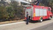 POŽAR U BARU: Vatrogasci odbranili kuće od vatre na Velikom Pijesku POŽAR U BARU: Vatrogasci odbranili kuće od vatre na Velikom Pijesku