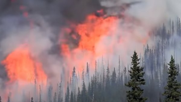 ПЛУЋА СВЕТА: Амазонска прашума због крчења и пожара избацује више угљен диоксида ПЛУЋА СВЕТА: Амазонска прашума због крчења и пожара избацује више угљен диоксида