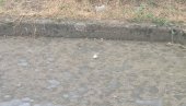 JAKO NEVREME NA JUGU SRBIJE: Haos u Nišu, sručio se grad veličine oraha (FOTO/VIDEO) JAKO NEVREME NA JUGU SRBIJE: Haos u Nišu, sručio se grad veličine oraha (FOTO/VIDEO)