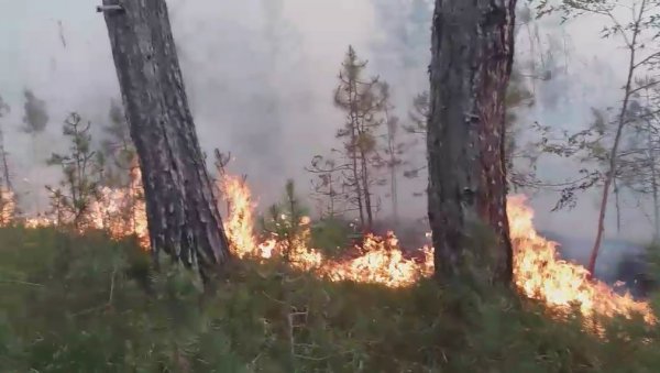 ПОЖАР НА КОПАОНИКУ: Гори ниско растиње на локацији Крчмар ПОЖАР НА КОПАОНИКУ: Гори ниско растиње на локацији Крчмар