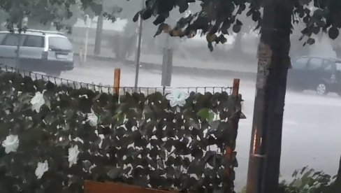 OLUJNO NEVREME ZAHVATILO RASINSKI OKRUG: Uništeno 90 hektara, najviše stradali Kruševac i Varvarin (VIDEO) OLUJNO NEVREME ZAHVATILO RASINSKI OKRUG: Uništeno 90 hektara, najviše stradali Kruševac i Varvarin (VIDEO)