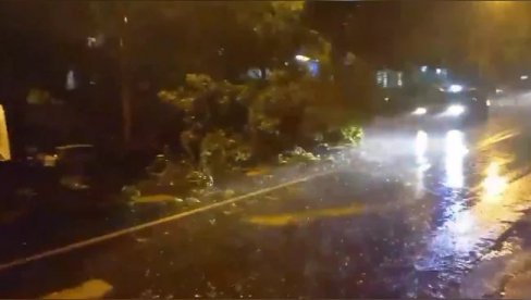 HAOS NA BANOVOM BRDU - DRVO PALO NASRED ULICE! Strašno nevreme pogodilo Beograd (VIDEO) HAOS NA BANOVOM BRDU - DRVO PALO NASRED ULICE! Strašno nevreme pogodilo Beograd (VIDEO)