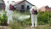 АМБРОЗИЈА ПОЧЕЛА ДА БУЈА: Ове године за третмане уништавања коровске биљке издвојено 148 милиона