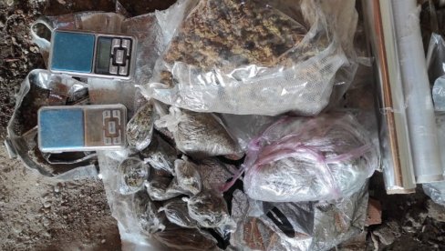 ЗАПЛЕНА МАРИХУАНЕ У БЕОГРАДУ: Полиција ухапсила младића (23) (ВИДЕО) ЗАПЛЕНА МАРИХУАНЕ У БЕОГРАДУ: Полиција ухапсила младића (23) (ВИДЕО)