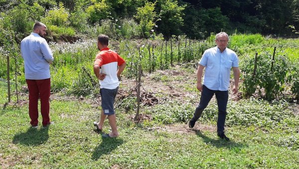 СВЕ ЈЕ ОТИШЛО ЗА САТ: У Модричи невреме уништило кукуруз, воће и поврће (ФОТО) СВЕ ЈЕ ОТИШЛО ЗА САТ: У Модричи невреме уништило кукуруз, воће и поврће (ФОТО)