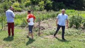 СВЕ ЈЕ ОТИШЛО ЗА САТ: У Модричи невреме уништило кукуруз, воће и поврће (ФОТО) СВЕ ЈЕ ОТИШЛО ЗА САТ: У Модричи невреме уништило кукуруз, воће и поврће (ФОТО)
