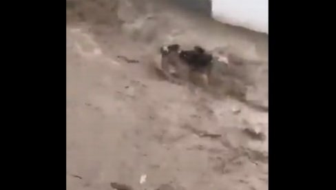 ДРАМАТИЧНЕ СЦЕНЕ У ТУРСКОЈ: Поплаве стигле и до ове земље, страдале најмање две особе! (ФОТО/ВИДЕО) ДРАМАТИЧНЕ СЦЕНЕ У ТУРСКОЈ: Поплаве стигле и до ове земље, страдале најмање две особе! (ФОТО/ВИДЕО)