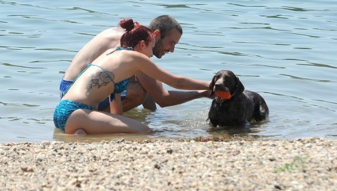 МИЛИЦИЈА РЕАГОВАЛА 133 ПУТА: Посетиоцима Савског језера смета непоштовање епидемиолошких мера МИЛИЦИЈА РЕАГОВАЛА 133 ПУТА: Посетиоцима Савског језера смета непоштовање епидемиолошких мера