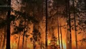 ПОЖАР У КАЛИФОРНИЈИ ГУТА КУЋЕ: Хиљаде домова и даље у опасности (ВИДЕО) ПОЖАР У КАЛИФОРНИЈИ ГУТА КУЋЕ: Хиљаде домова и даље у опасности (ВИДЕО)