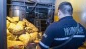 СПАЉЕНО 1,4 ТОНЕ МАРИХУАНЕ: У Термоелектрани Никола Тесла у Обреновцу уништена дрога СПАЉЕНО 1,4 ТОНЕ МАРИХУАНЕ: У Термоелектрани Никола Тесла у Обреновцу уништена дрога