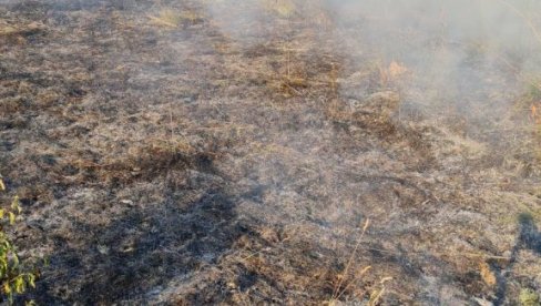 IZGORELO TRI HEKTARA PAŠNJAKA: Ugašen požar iznad Starih Ledinaca na Fruškoj gori (FOTO) IZGORELO TRI HEKTARA PAŠNJAKA: Ugašen požar iznad Starih Ledinaca na Fruškoj gori (FOTO)