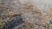 IZGORELO TRI HEKTARA PAŠNJAKA: Ugašen požar iznad Starih Ledinaca na Fruškoj gori (FOTO) IZGORELO TRI HEKTARA PAŠNJAKA: Ugašen požar iznad Starih Ledinaca na Fruškoj gori (FOTO)