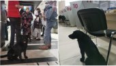 ПАС ЗА ШАЛТЕРОМ: Министарку Марију Обрадовић у згради општине Аранђеловац дочекао и неочекивани посетилац