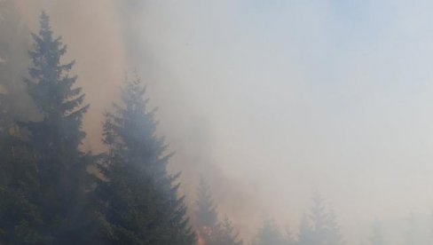 BUKTI POŽAR IZMEĐU BUDVE I CETINJA: Akcija gašenja nastaviće se danas BUKTI POŽAR IZMEĐU BUDVE I CETINJA: Akcija gašenja nastaviće se danas