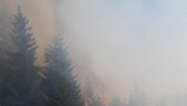 ВАТРА НА СВЕ СТРАНЕ: Букте пожари на северу Црне Горе (ФОТО)