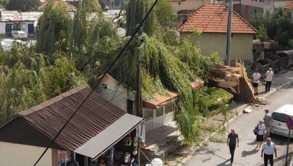 НА ЗЕМЉИ ДОСТИЖУ ВИШЕ ОД 1.225 КМ НА САТ: Ваздушна струјања, односно ветрови, могу да дувају изненађујуће брзо НА ЗЕМЉИ ДОСТИЖУ ВИШЕ ОД 1.225 КМ НА САТ: Ваздушна струјања, односно ветрови, могу да дувају изненађујуће брзо