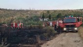 УГАШЕН ПОЖАР У СУТОМОРУ: Ватрогасци се изборили са ватреном стихијом у Спичанском пољу УГАШЕН ПОЖАР У СУТОМОРУ: Ватрогасци се изборили са ватреном стихијом у Спичанском пољу