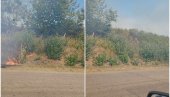 ПОЖАР КОД НЕГОТИНА: Запалила се ливада поред магистрале, гори ниско растиње (ФОТО) ПОЖАР КОД НЕГОТИНА: Запалила се ливада поред магистрале, гори ниско растиње (ФОТО)