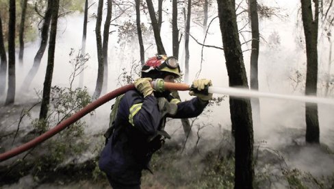 POŽARI NA TERITORIJI OPŠTINE PARAĆIN: U toku današnjeg dana sprovedeno sedam intervencija na otvorenom