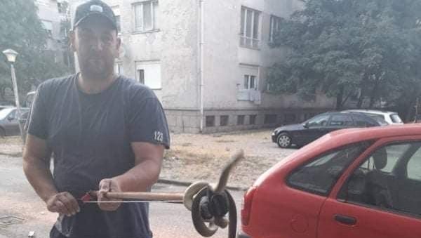 ЗМИЈА У ЗГРАДИ У ЦЕНТРУ НИКШИЋА: Грађани се узнемирили - ватрогасци реаговали експресно (ФОТО) ЗМИЈА У ЗГРАДИ У ЦЕНТРУ НИКШИЋА: Грађани се узнемирили - ватрогасци реаговали експресно (ФОТО)