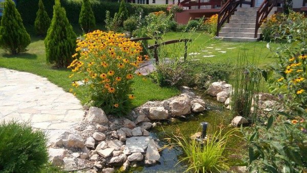 АКЦИЈА У ВЕЛИКОМ ГРАДИШТУ: Бирају најлепшу башту и терасу АКЦИЈА У ВЕЛИКОМ ГРАДИШТУ: Бирају најлепшу башту и терасу