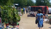 ОБАВЕШТЕЊЕ ЗА КУПЦЕ И ПРОДАВЦЕ У ПОЖАРЕВЦУ: Бувља пијаца пресељена у Мораску улицу ОБАВЕШТЕЊЕ ЗА КУПЦЕ И ПРОДАВЦЕ У ПОЖАРЕВЦУ: Бувља пијаца пресељена у Мораску улицу