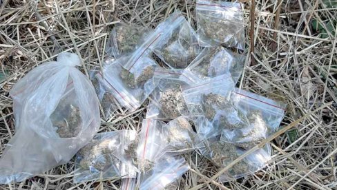 UHAPŠEN NARKO DILER: U štekovima na Košutnjaku pronađeno 68 paketića sa marihuanom (FOTO) UHAPŠEN NARKO DILER: U štekovima na Košutnjaku pronađeno 68 paketića sa marihuanom (FOTO)