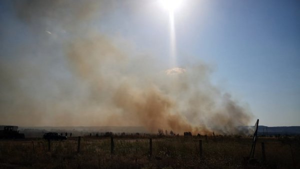 ПОЖАРИ И У ТИМОЧКОЈ КРАЈИНИ: Ватрогасци гасе ватру на подручју Кладова ПОЖАРИ И У ТИМОЧКОЈ КРАЈИНИ: Ватрогасци гасе ватру на подручју Кладова