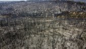 СРПСКИ КОНЗУЛ У АТИНИ: На Евији пожар саниран, распламсава се на Пелопонезу СРПСКИ КОНЗУЛ У АТИНИ: На Евији пожар саниран, распламсава се на Пелопонезу