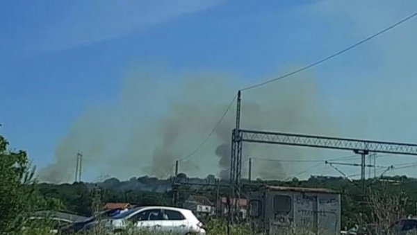НОВИ ПОЖАРИ У ПРЕСТОНИЦИ: Ватрена стихија прети да угрози куће у Реснику (ФОТО) НОВИ ПОЖАРИ У ПРЕСТОНИЦИ: Ватрена стихија прети да угрози куће у Реснику (ФОТО)