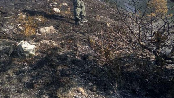 ВАТРОГАСЦИ СПРЕЧИЛИ КАТАСТРОФУ У ЗРЕЊАНИНУ: Изборили се с пожаром надомак тржног центра ВАТРОГАСЦИ СПРЕЧИЛИ КАТАСТРОФУ У ЗРЕЊАНИНУ: Изборили се с пожаром надомак тржног центра