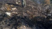 ВАТРОГАСЦИ СПРЕЧИЛИ КАТАСТРОФУ У ЗРЕЊАНИНУ: Изборили се с пожаром надомак тржног центра ВАТРОГАСЦИ СПРЕЧИЛИ КАТАСТРОФУ У ЗРЕЊАНИНУ: Изборили се с пожаром надомак тржног центра