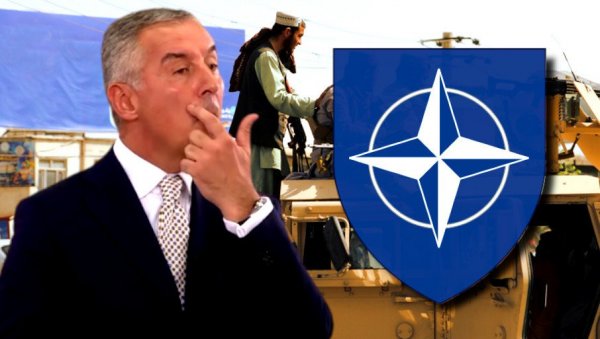 СТИДИ СЕ, МИЛО: Ђукановић у страху због краха НАТО авантуре у Авганистану СТИДИ СЕ, МИЛО: Ђукановић у страху због краха НАТО авантуре у Авганистану