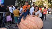 „DANI LUDAJE“ U KIKINDI: Pevaju Ceca, Zvonko Bogdan, „Riblja čorba“... „DANI LUDAJE“ U KIKINDI: Pevaju Ceca, Zvonko Bogdan, „Riblja čorba“...