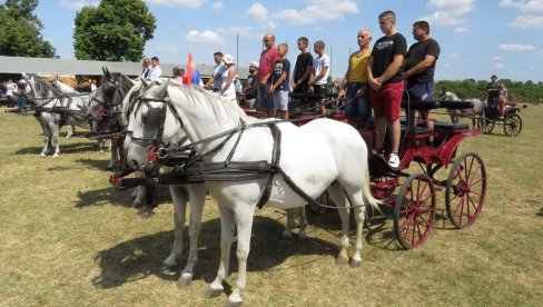 ПРЕЛЕПА МАНИФЕСТАЦИЈА: Одржана фијакеријада у Дреновцу (ФОТО) ПРЕЛЕПА МАНИФЕСТАЦИЈА: Одржана фијакеријада у Дреновцу (ФОТО)