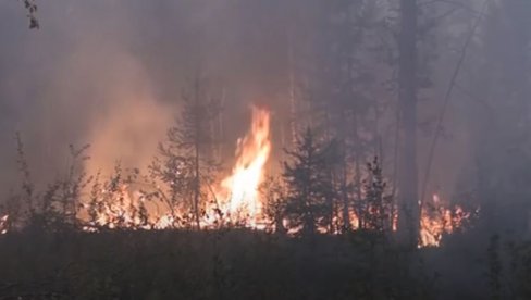 PAKAO U RUSIJI: Stotine požara bukti širom zemlje, vatra zahvatila 1.277.628 hektara PAKAO U RUSIJI: Stotine požara bukti širom zemlje, vatra zahvatila 1.277.628 hektara
