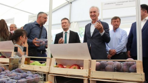 BERIĆET ISPOD MAJEVICE: Veliki jubilarni sajam šljive, voćnih rakija i meda u Ugljeviku BERIĆET ISPOD MAJEVICE: Veliki jubilarni sajam šljive, voćnih rakija i meda u Ugljeviku